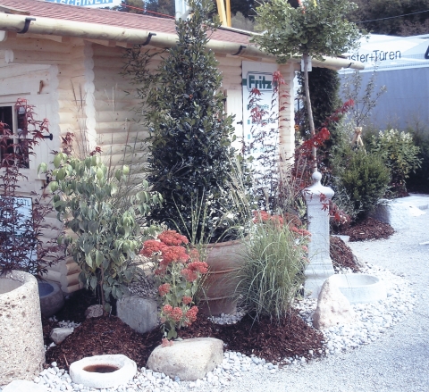 garten-10-i garten-10-i